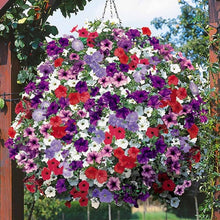 Load image into Gallery viewer, ,Very Beautiful Garden Flowers Light Up Your Garden