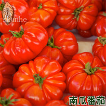 Load image into Gallery viewer, Fresh red tomato bonsai Wang  200 Pcs