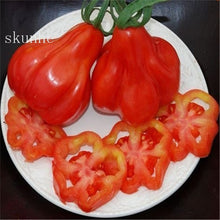 Load image into Gallery viewer, Fresh red tomato bonsai Wang  200 Pcs