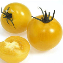 Load image into Gallery viewer, Fresh red tomato bonsai Wang  200 Pcs
