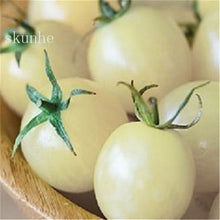 Load image into Gallery viewer, Fresh red tomato bonsai Wang  200 Pcs