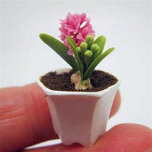 Load image into Gallery viewer, Grow In Pots Bonsai plant flower for home garden